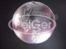 PolGer medal1